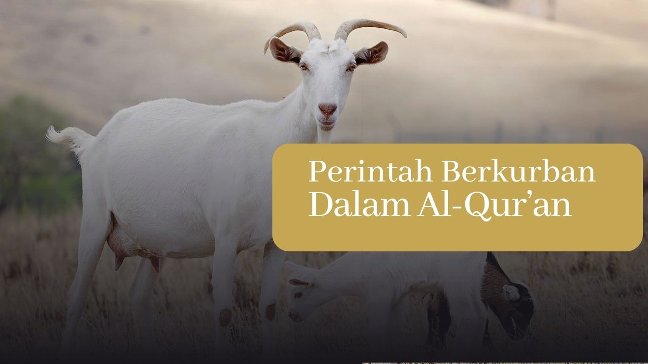 Perintah Berkurban Dalam Al-Qur’an